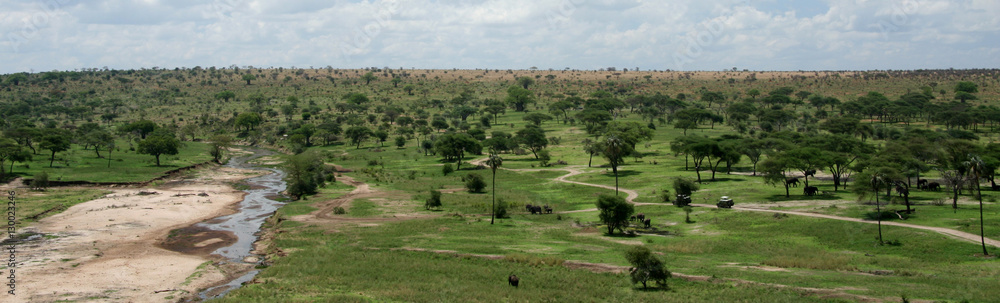 Tarangire River - Tanzania, Africa