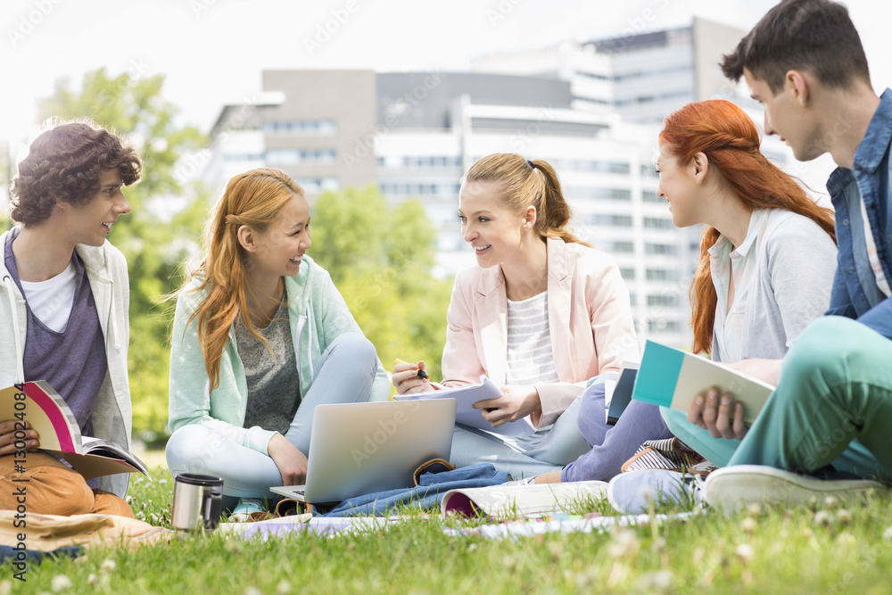 Fototapeta premium University students studying together on grass