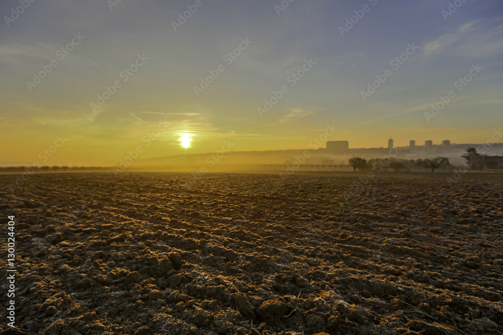Sonnenaufgang über einem Feld im Winter Sonnenaufgang über einem Feld im Winter