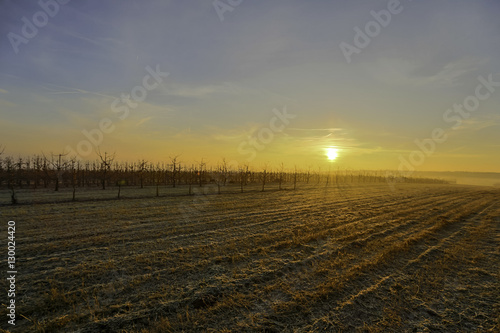 Sonnenaufgang über einem Feld im Winter