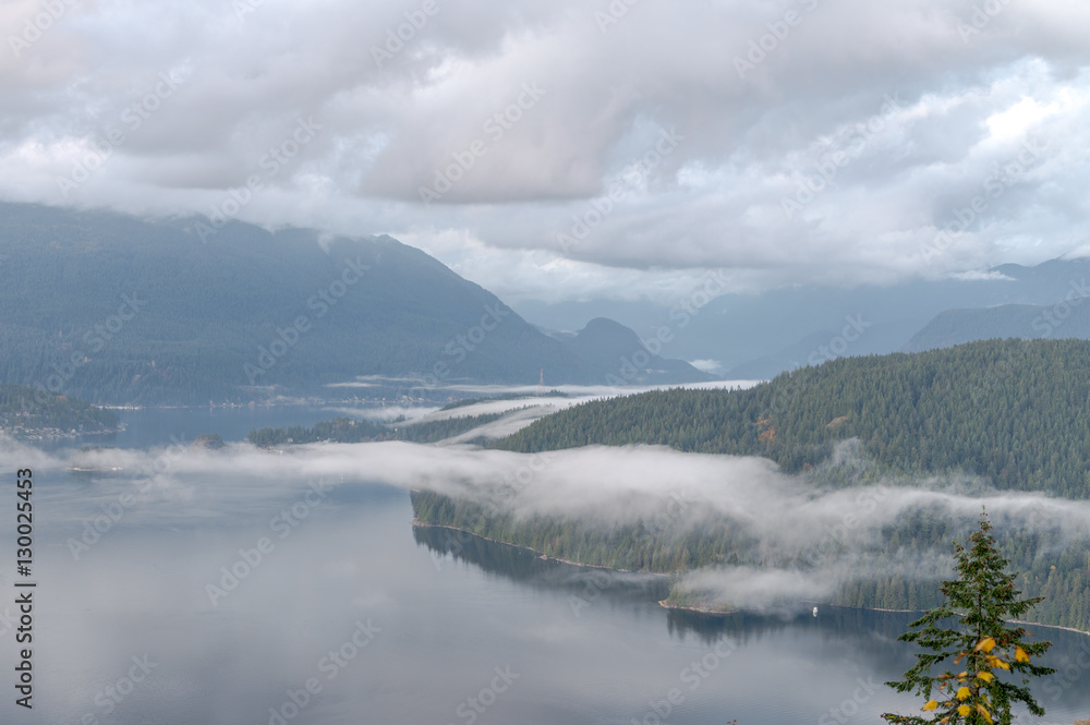 Fototapeta premium Natural during autumn in Vancouver Canada Oct 2016