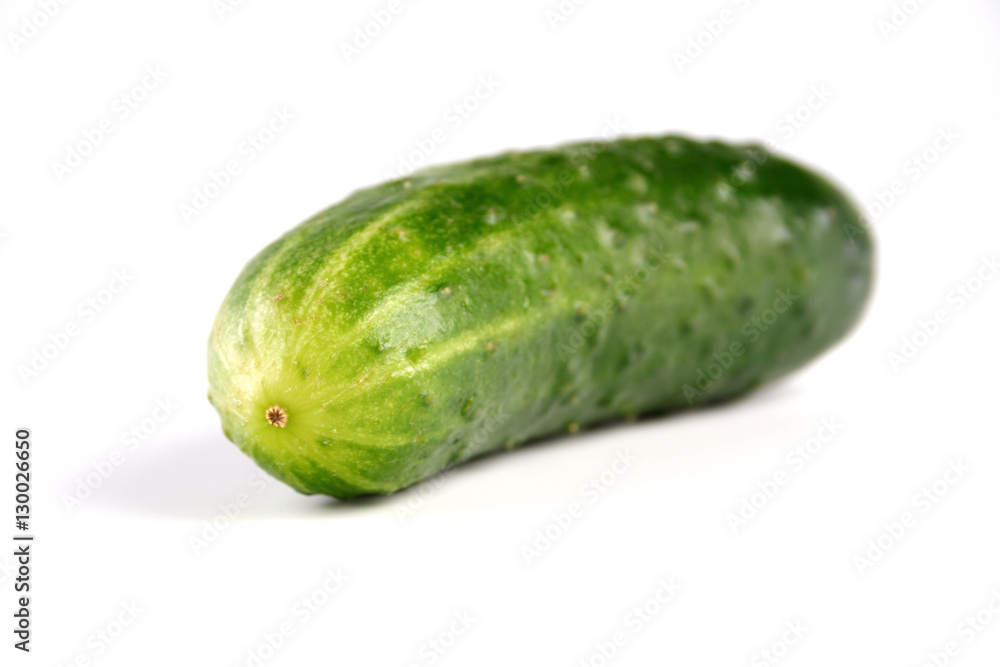 Studio shot of cucumber on white background Studio shot of cucumber on white background