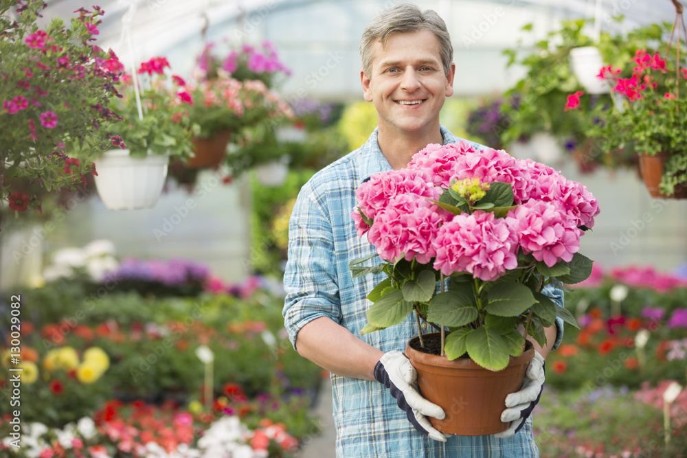 Portrait of happy gardener holding flower pot in greenhouse Portrait of happy gardener holding flower pot in greenhouse