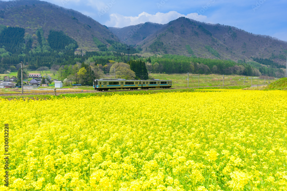 青空の下、田舎を走る日本の鉄道 