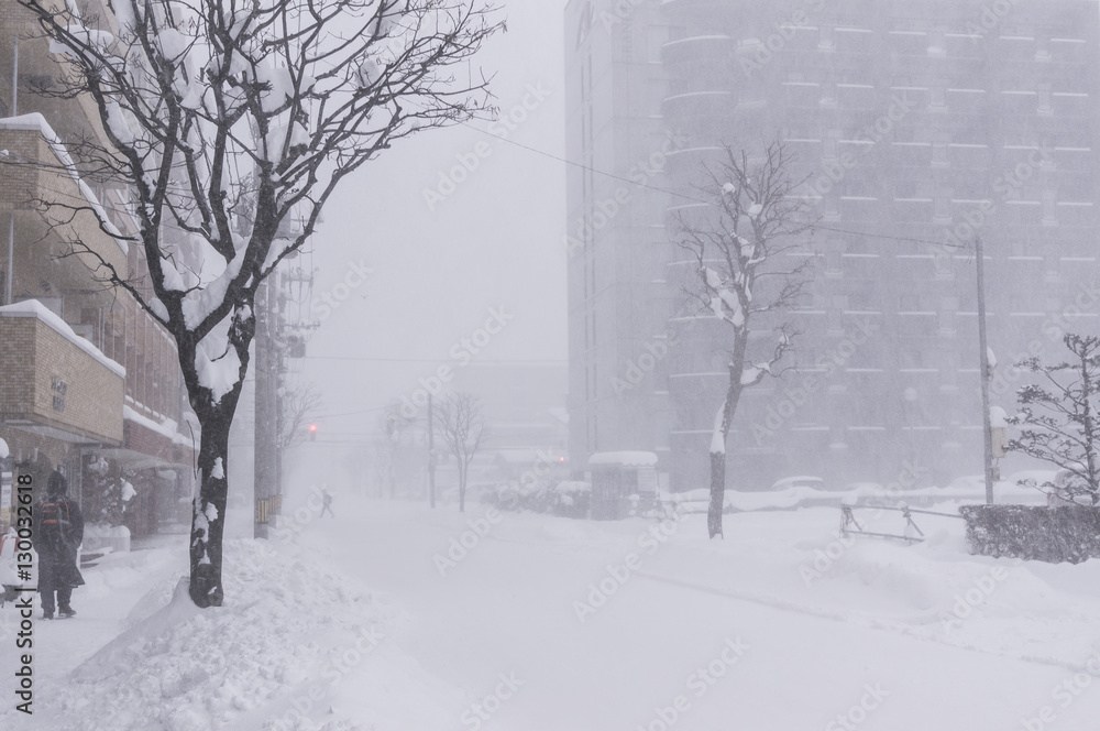 北海道の冬