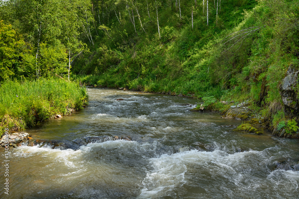 The river Kuyum in the Altai mountains The river Kuyum in the Altai mountains