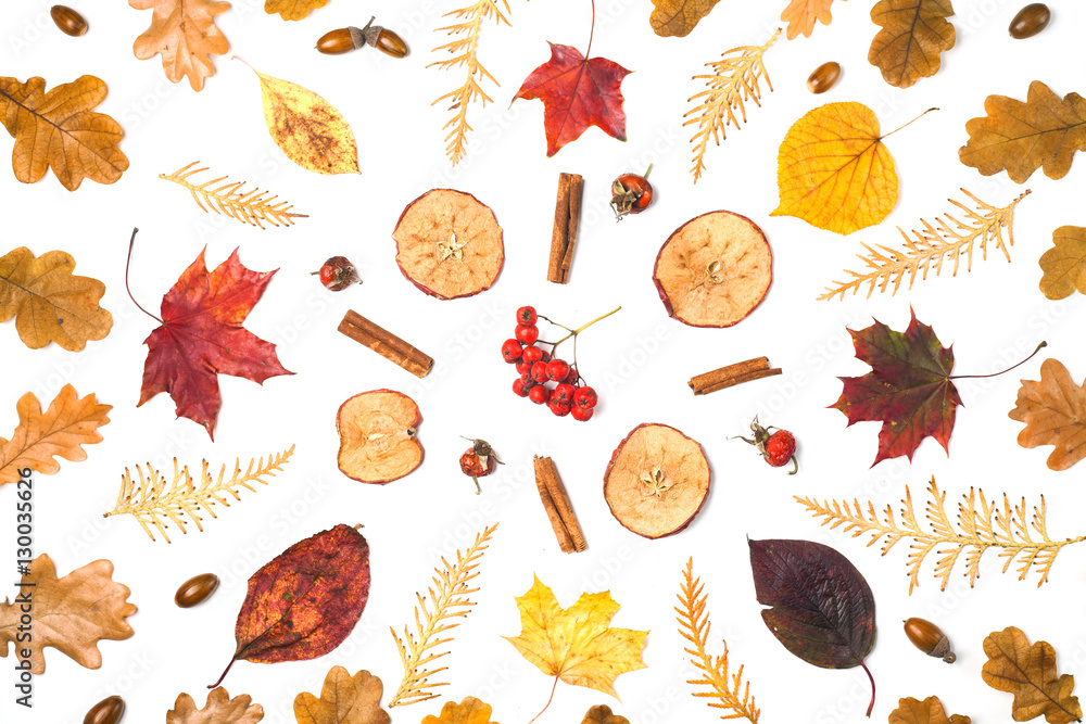 Obraz premium Autumn fall flat lay composition isolated on white background