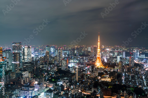 Tokyo city skyline with Tokyo Tower