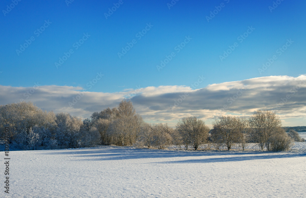 Countryside landscape in winter. Countryside landscape in winter.