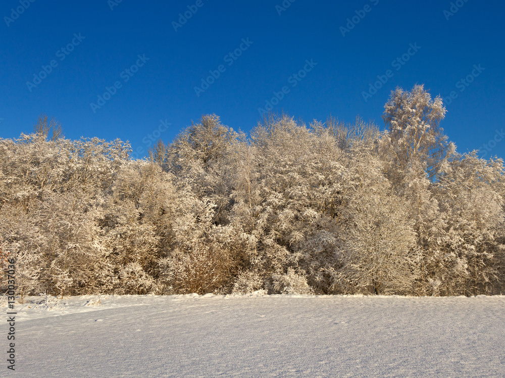 Countryside with snow. Countryside with snow.