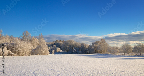Countryside with snow.