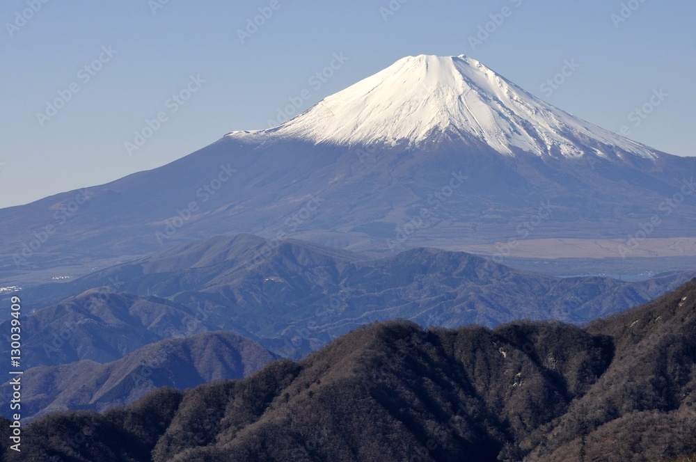 丹沢からの富士山 丹沢からの富士山