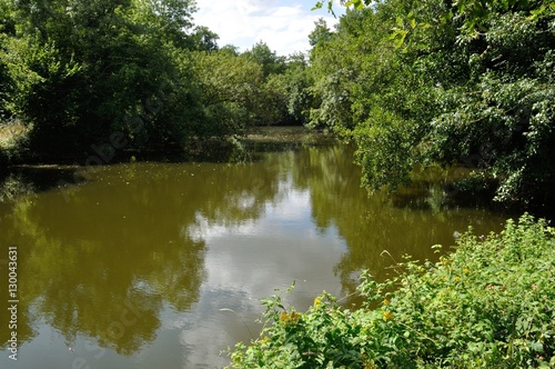 Layon river in Anjou