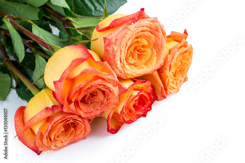 roses as a gift for your favorite woman on a white background cl