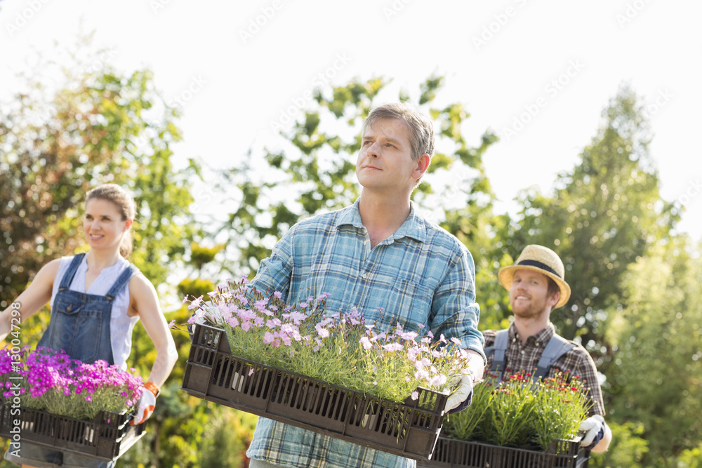 Obraz premium Gardeners looking away while carrying crates with flower pots at garden