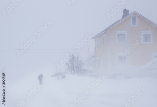 Obraz na plátně Arctic winter