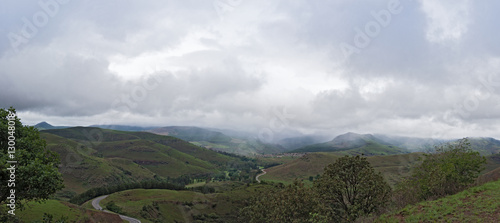 Fog landscape near Graskop, Mpumalanga province, South Africa photo