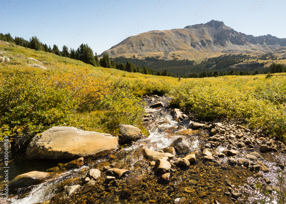 Obraz premium Autumn Colors, Pine Valley, Collegiate Peaks Wilderness, Pike an