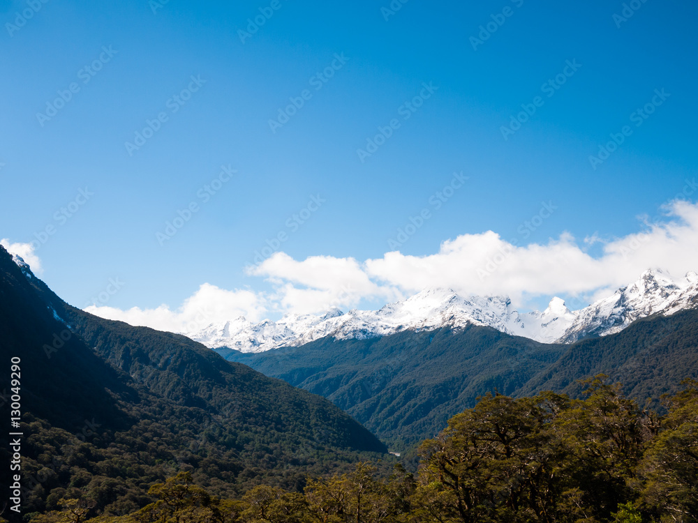 Wilderness with mountains and trees Wilderness with mountains and trees