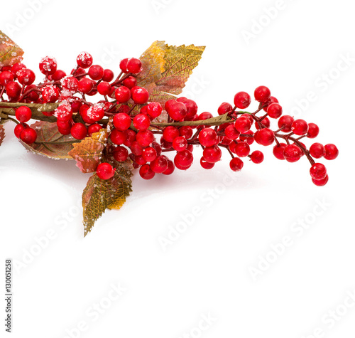 Christmas seasonal border