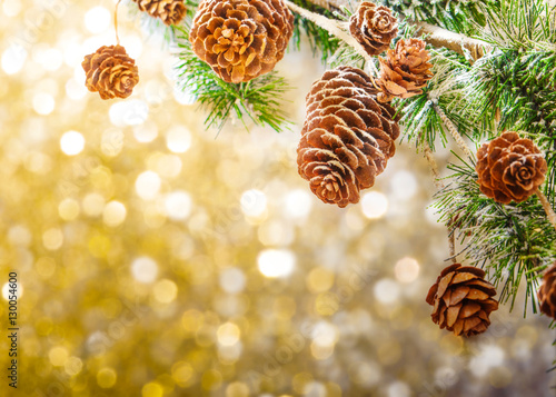 Christmas background with fir branches,pinecones and berries on