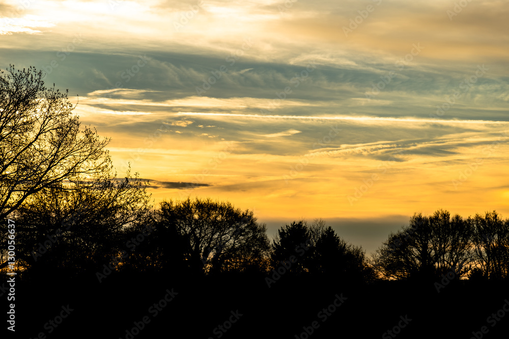 Sonnenaufgang mit Bäumen in Vorder- und Hintergrund