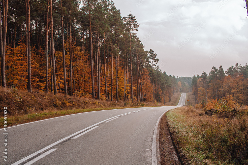 Outdoors: A hilly curved road in an autumn fall forest. Poland, Zachodniopomorskie