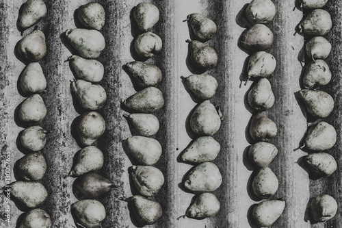 Obraz na płótnie Pears pattern w salonie
