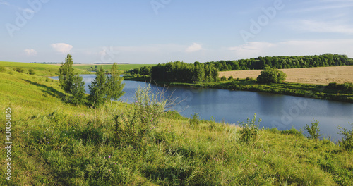 Summer landscape with river