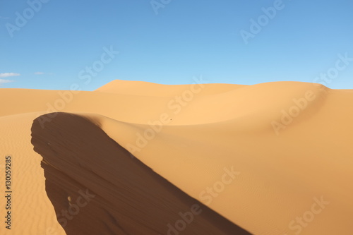 Dune Landscape of Sahara Desert