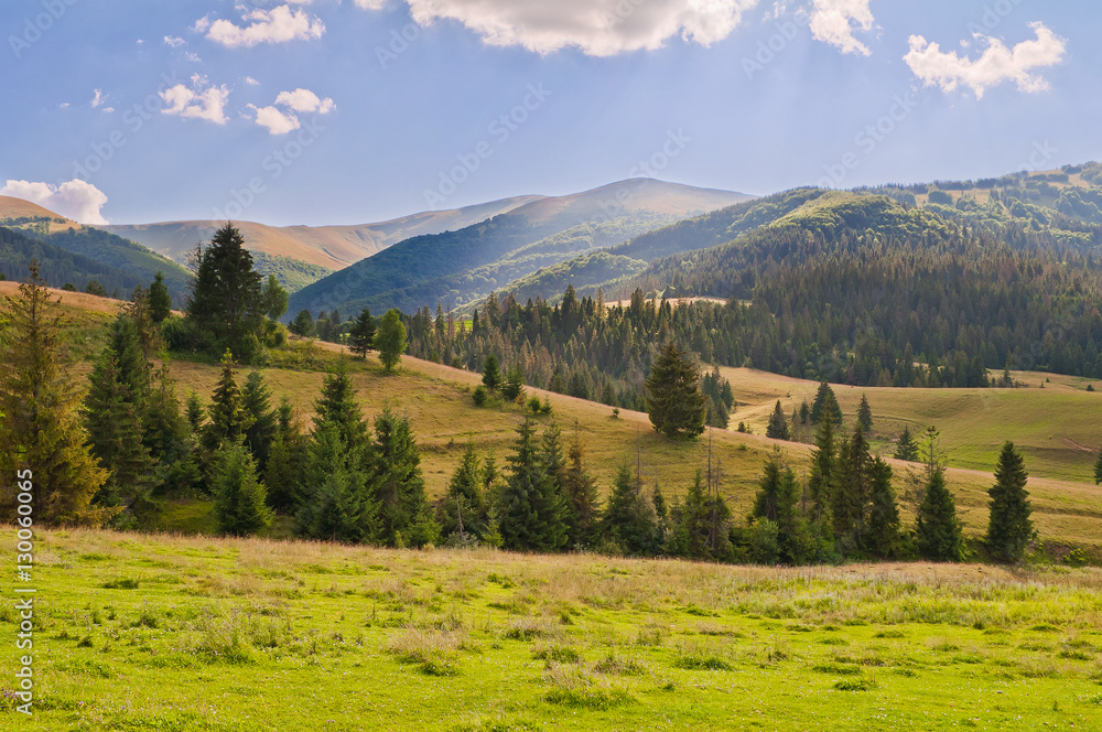 Summer mountain landscape, evening in the Carpathian mountains