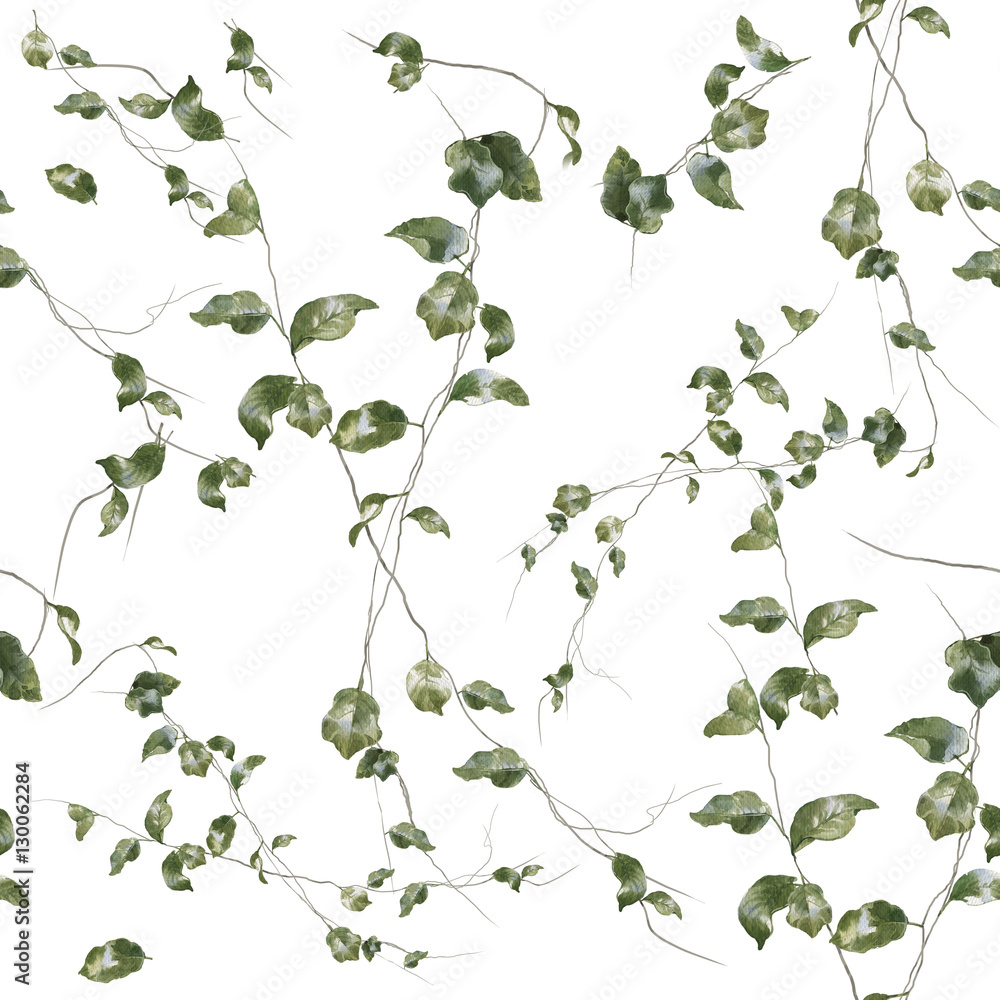 Obraz premium Watercolor illustration of leaf, seamless pattern on white background