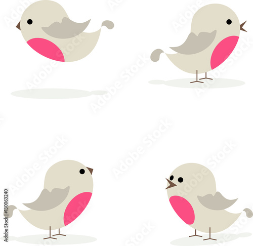 Robin