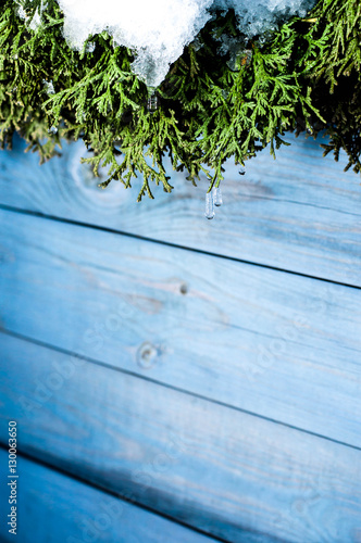 Thawed the icicles on the branches of the tree, texture