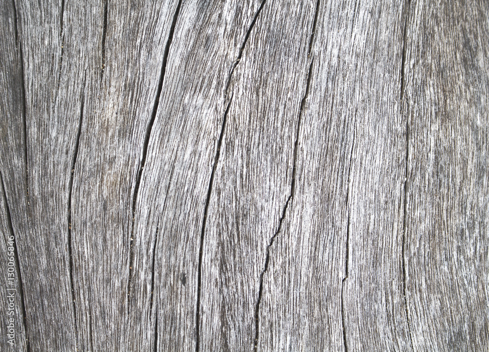 Wooden natural background for rustic design Wooden natural background for rustic design
