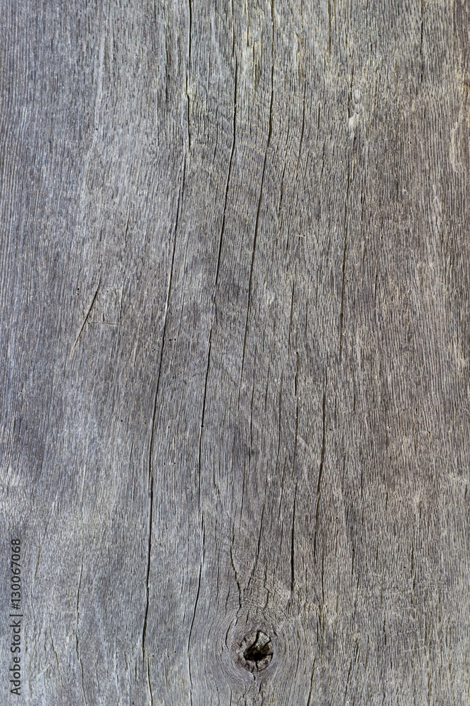 Naklejka premium wood texture grey