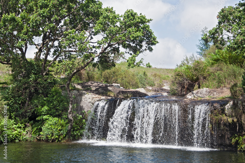 Fototapeta premium The Mac Mac Pools between Graskop and Sabie, Mpumalanga, South Africa