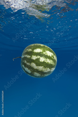 water-melon splashing in water on blue background © Andriy Nekrasov