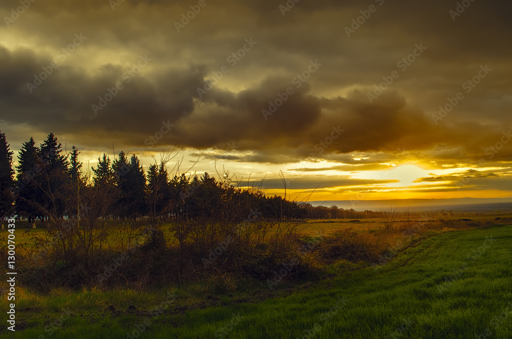 sunset in green field, spring landscape, bright colorful sky and clouds as background