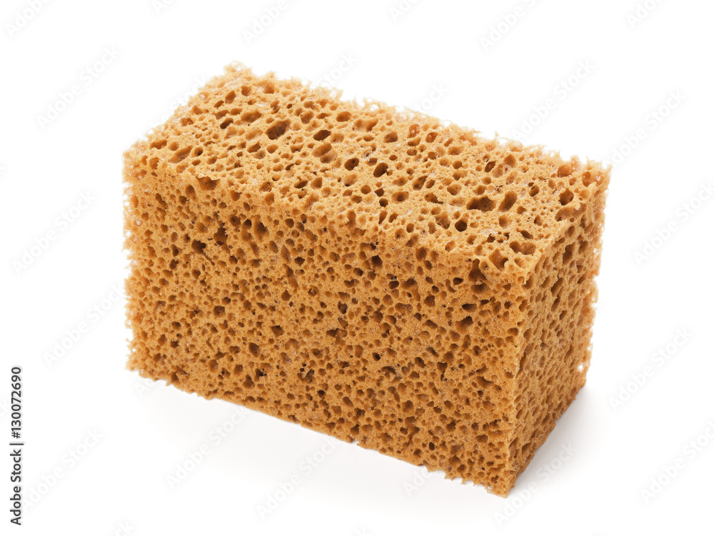 Sponge isolated on white Sponge isolated on white