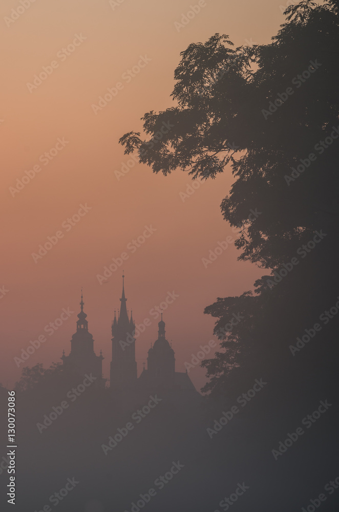Fototapeta premium Misty Blonia meadow in Krakow, Poland, with St Mary's church and Town Hall towers in the background.