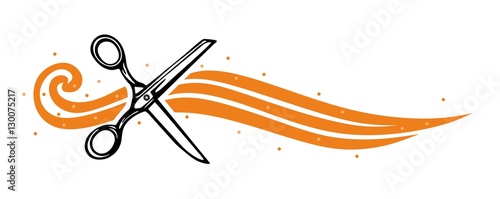Schneider1112a