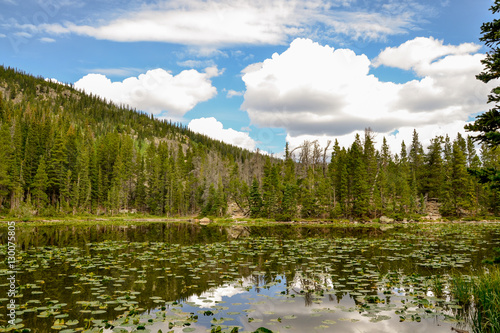 Fototapeta Naklejka Na Ścianę i Meble -  scenic view of wooded banks of Nymph Lake
Rocky Mountain National Park, Estes Park, Colorado, Untied States
