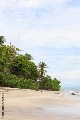 Trees and sand beach montezuma