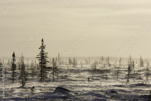 Snow storm, blizzard, Churchill, Hudson Bay, Manitoba, Canada photo