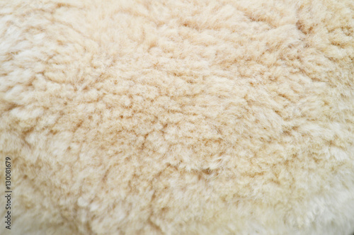 Alpaca wool close up