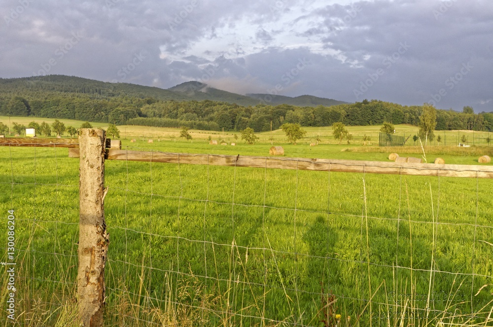 Barbed wire fence in the forefront of the frame with a wide green grassland beyond it