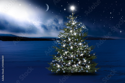 Christbaum in Winternacht