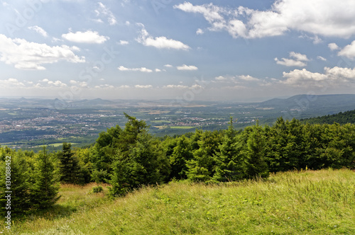 Green field with forrest behind