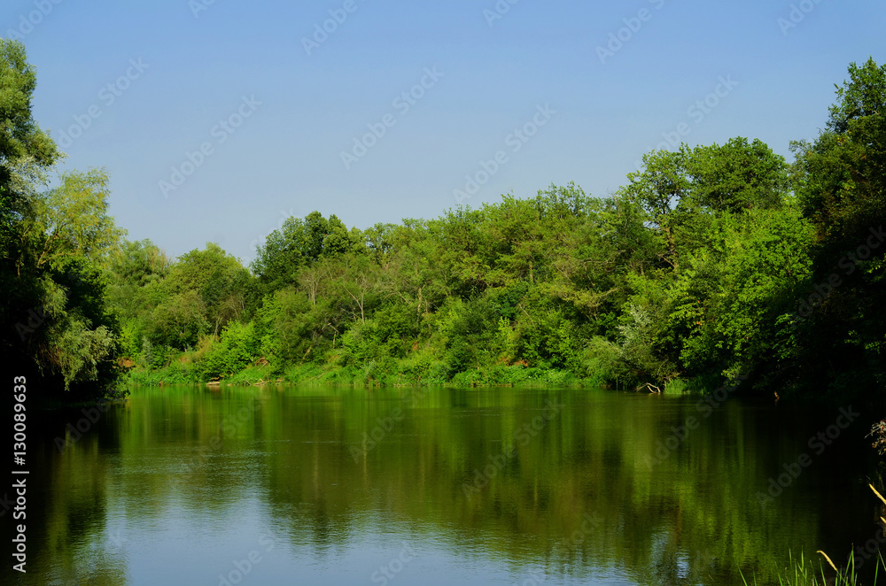 River in the forest at summer